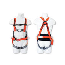 Harness
